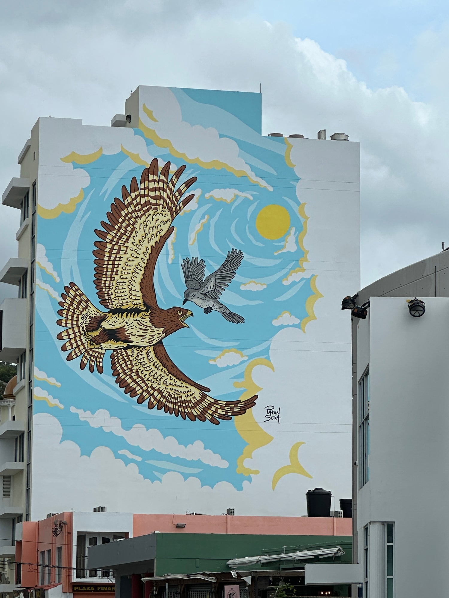 Large scale mural of a pitirre and guaraguao in Aguadilla Puerto Rico by Padin Sosa